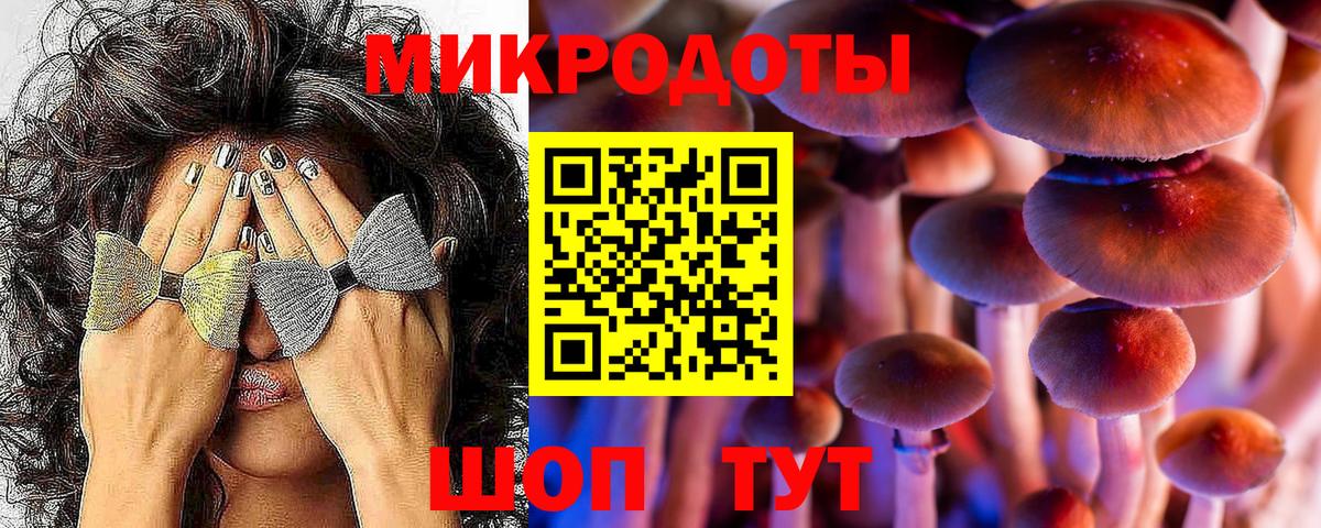 Псилоцибиновые грибы Psilocybine cubensis Волгоград